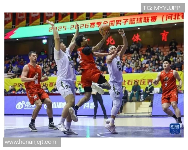 篮球联赛风云再起，聚焦新赛季球队阵容变动与明星球员表现